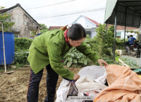 Bài học từ mô hình xử lý chất thải rắn sinh hoạt tại Thuận Nghĩa (Bình Định)